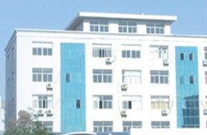 臺州東岸機械制造有限公司